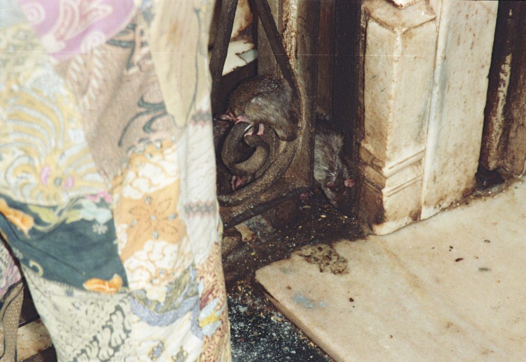 1995_India_059-scaled