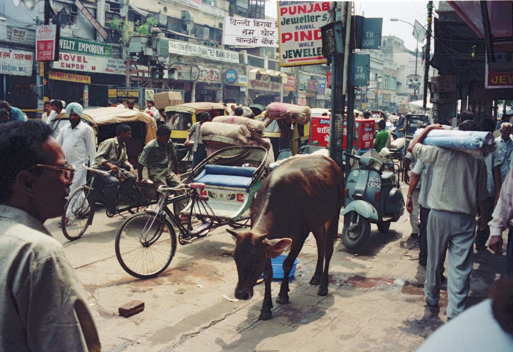 1995_India_088-scaled