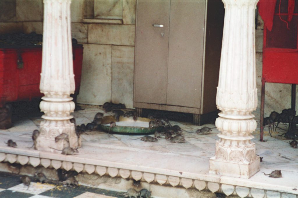 1995_India_141-scaled