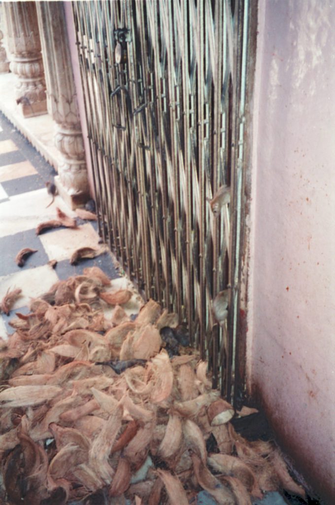 1995_India_143-scaled