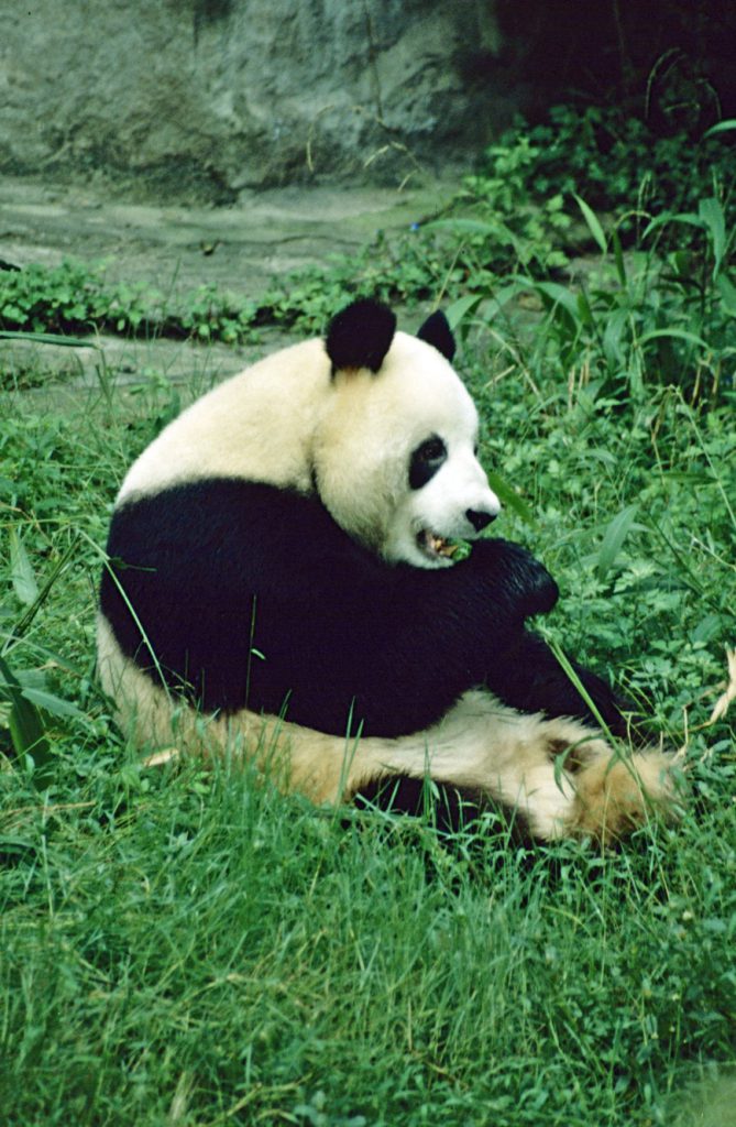1999_04_China_260