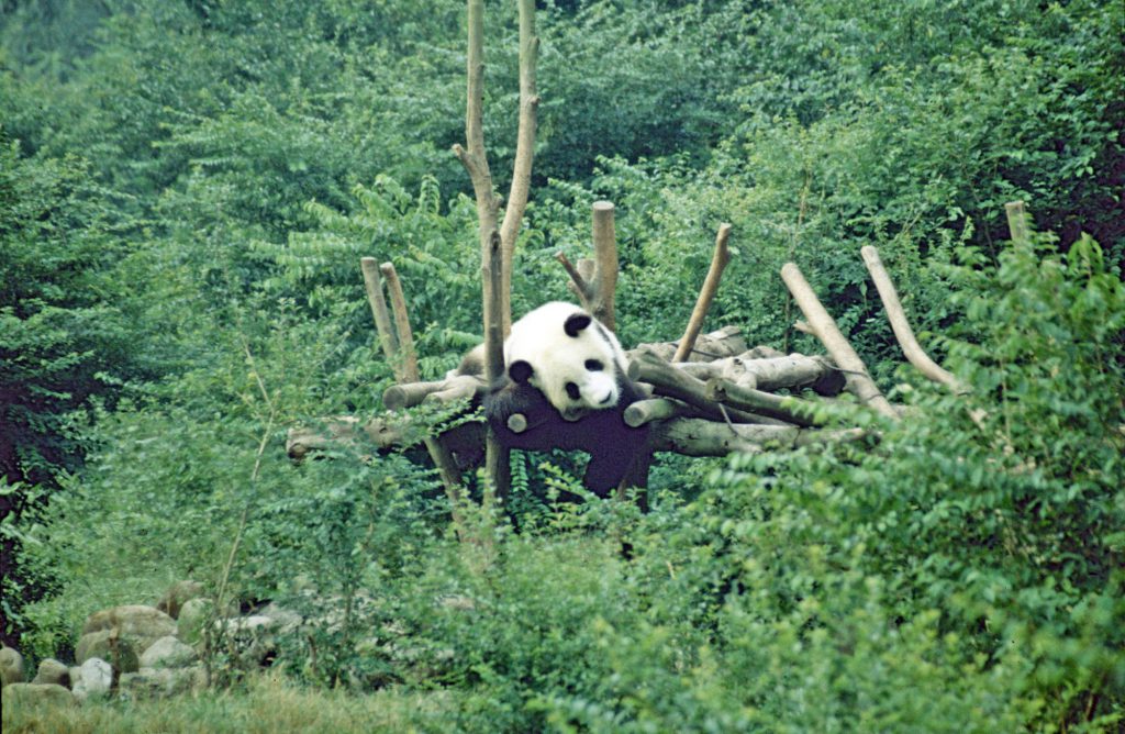 1999_04_China_262