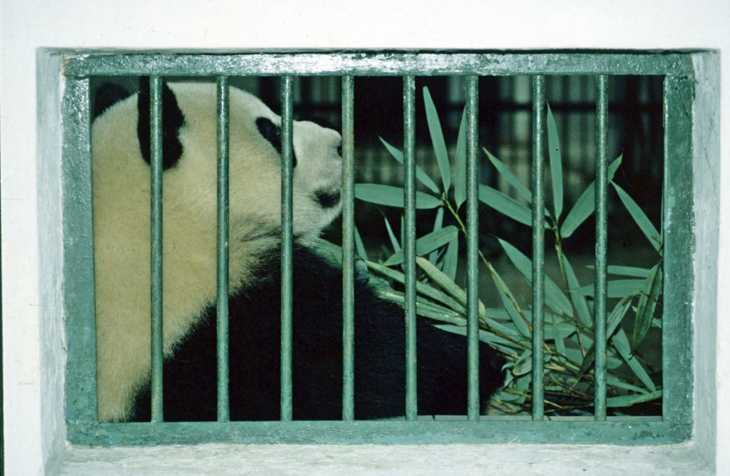 1999_04_China_263