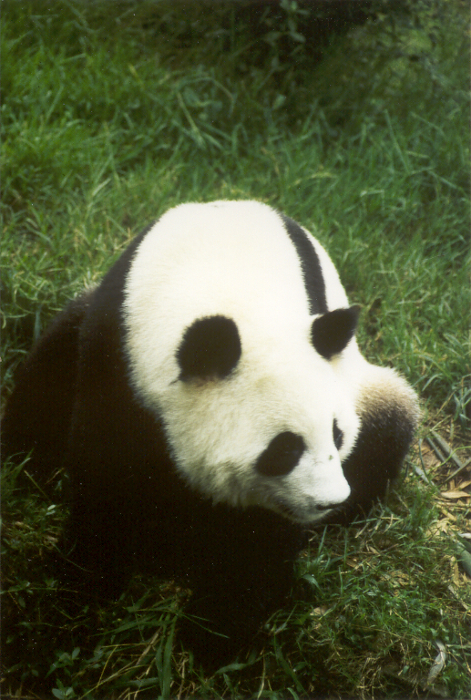 1999_04_China_278