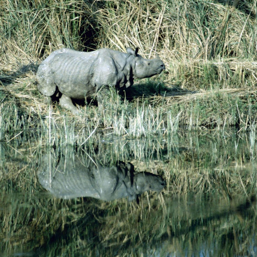 1999_06_Nepal_245-e1545302224814