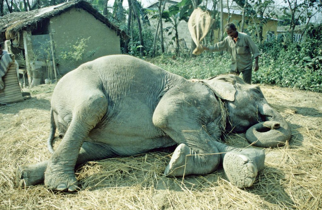 1999_06_Nepal_254