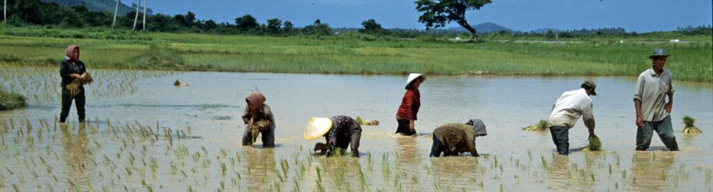 2000_12_Cambodia_171