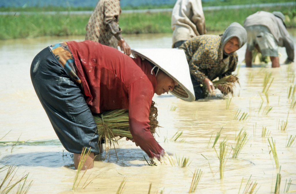 2000_12_Cambodia_174