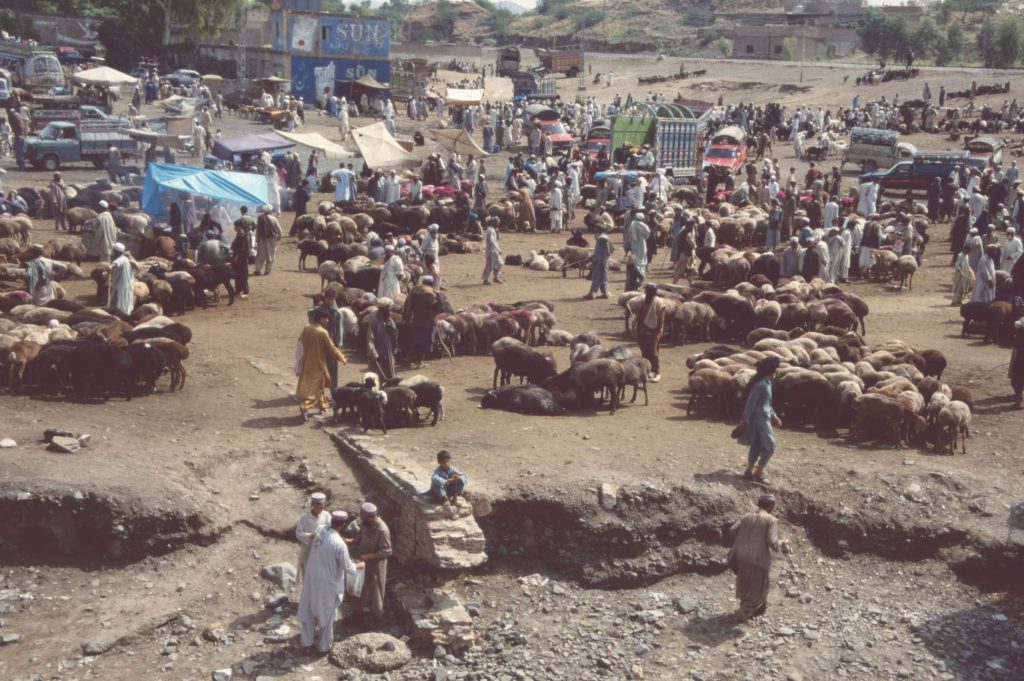 2000_15_Pakistan_124