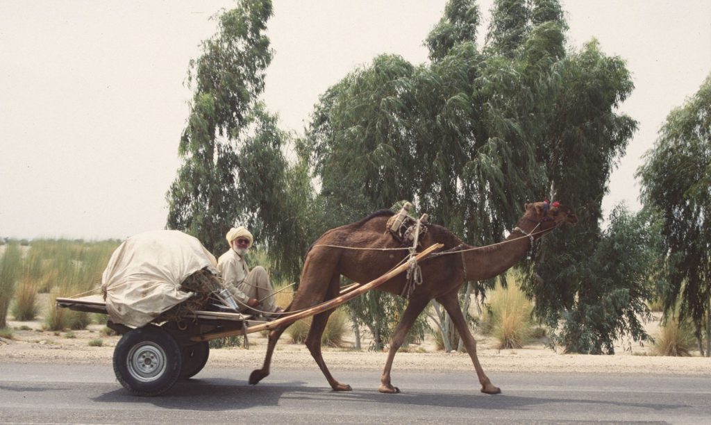 2000_15_Pakistan_195