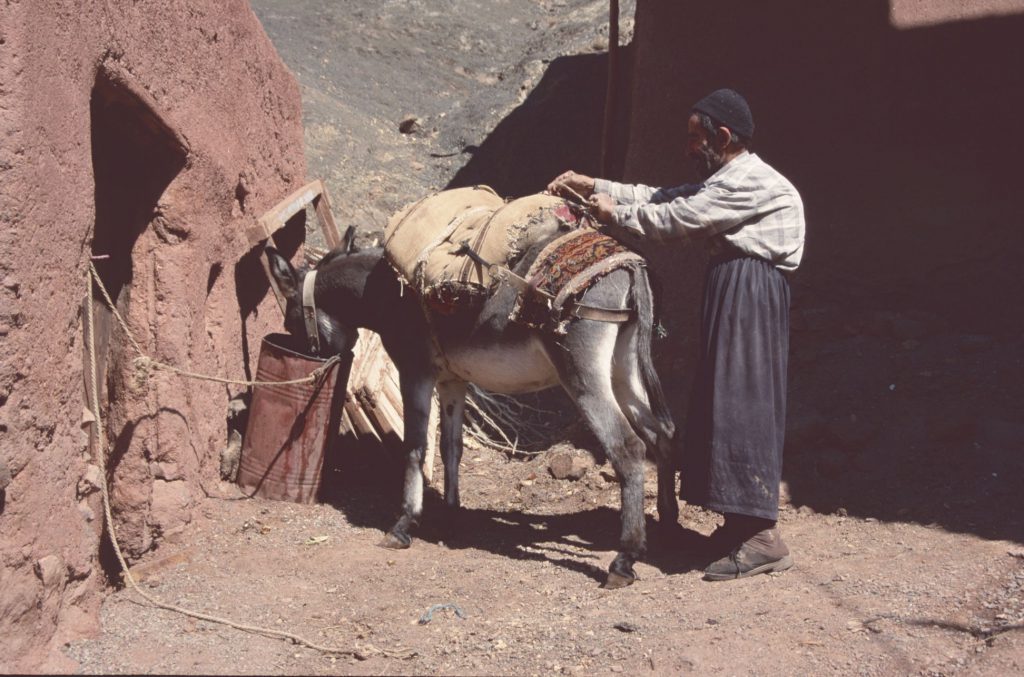 2000_16_Iran_207