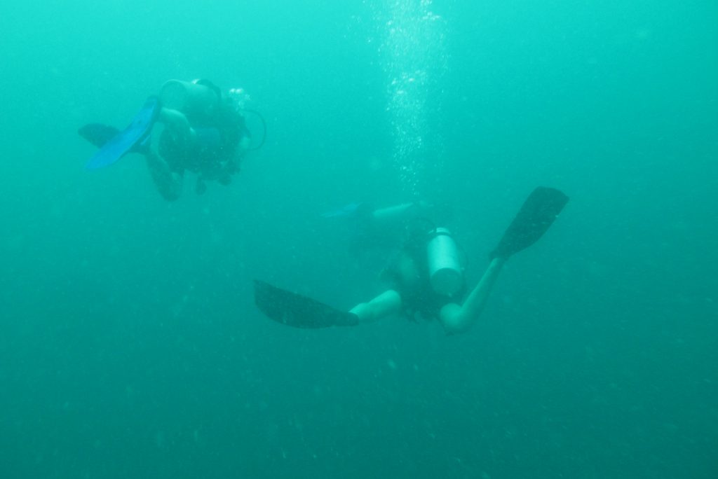 2011_ZOAZIE_13_Thailand_0202