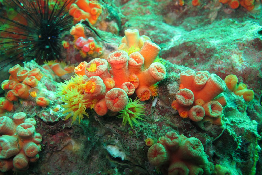 2011_ZOAZIE_13_Thailand_0214
