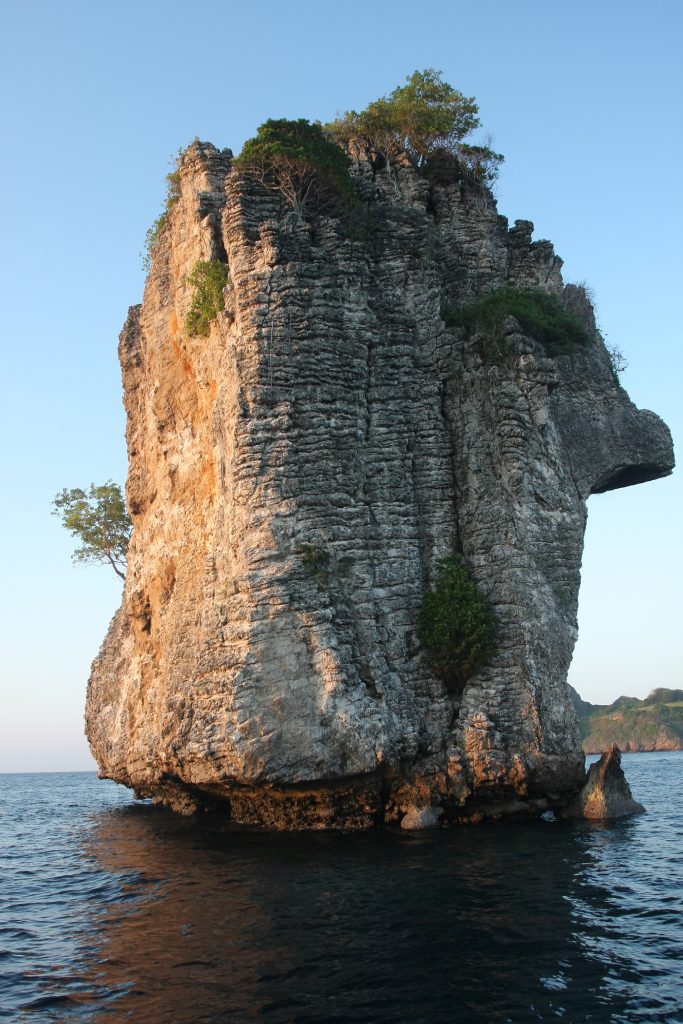 2011_ZOAZIE_13_Thailand_0473