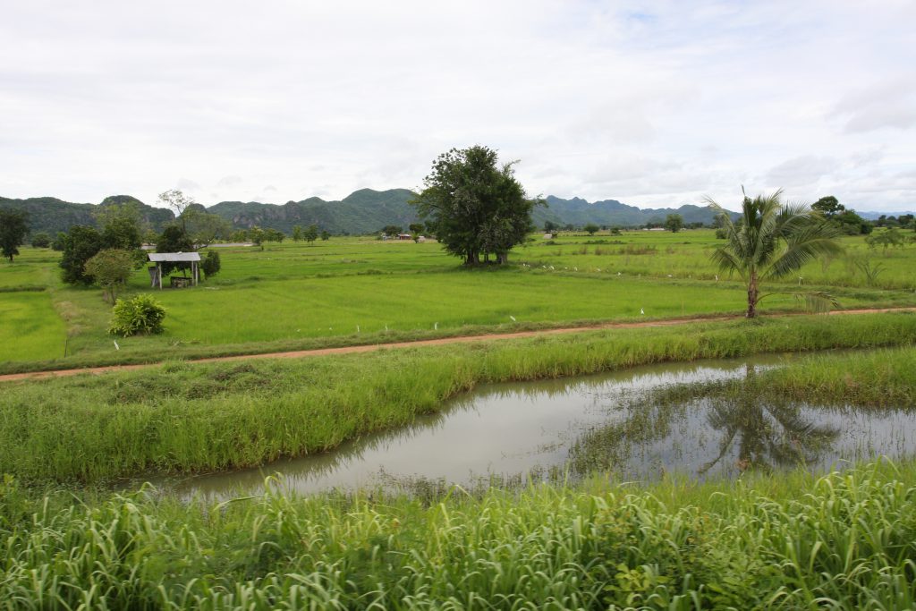 2011_06_Thailand_0543