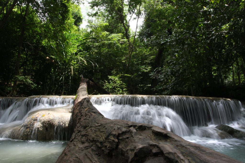 2011_06_Thailand_0758