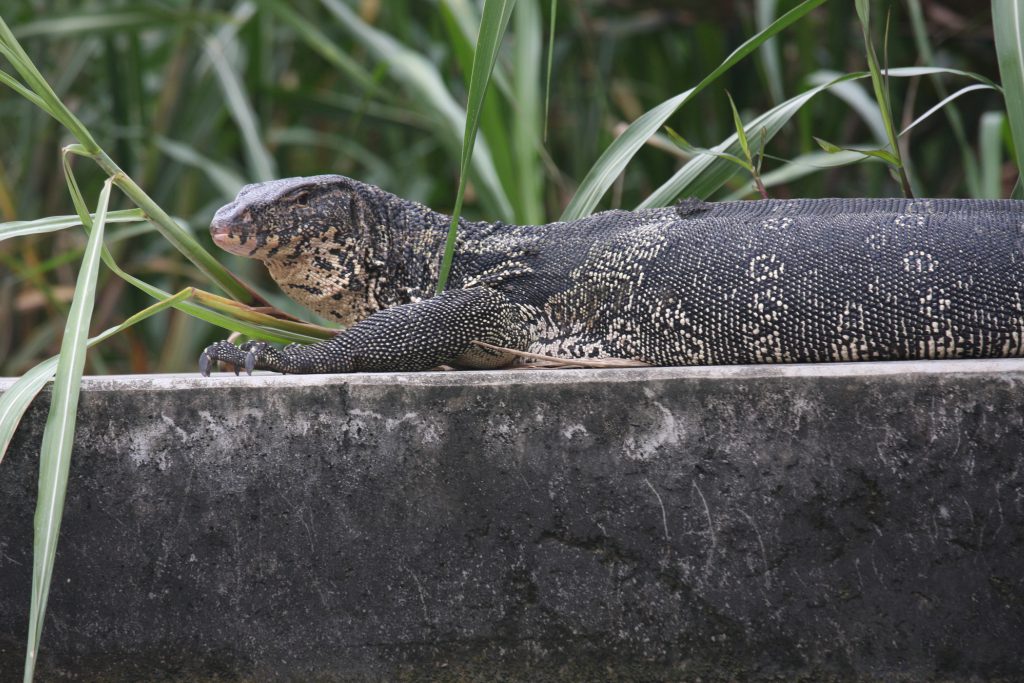 2011_08_Bangkok_0655