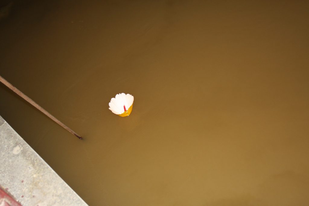 2011_11_VietnamZuid_0937