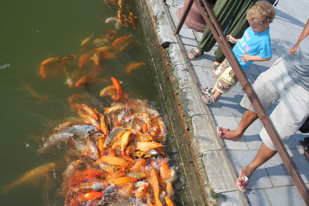2011_11_VietnamZuid_1195